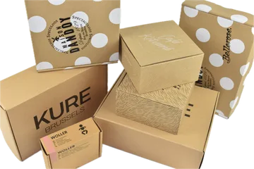 Ekspres teslimat Kutular içinde Zwijnaarde Belçika